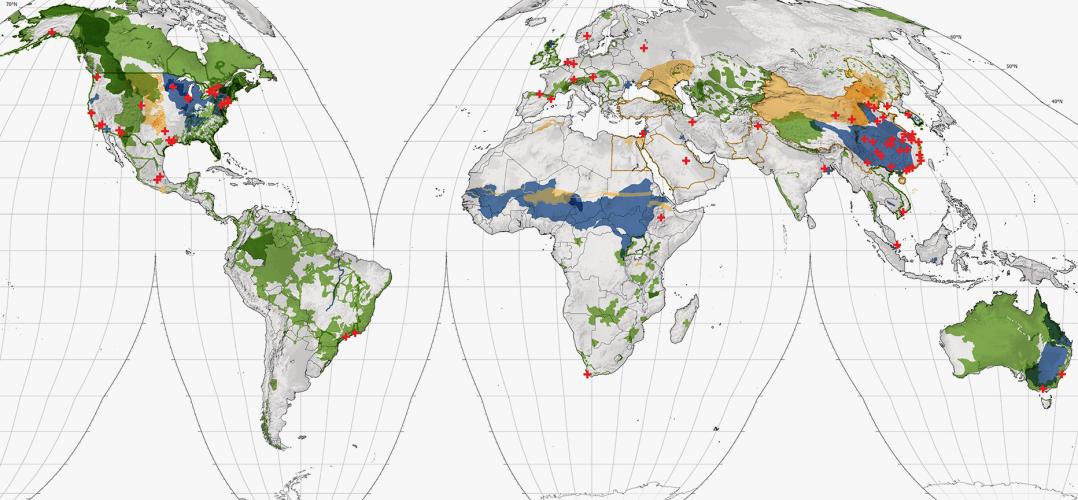 World map with large scale ecological projects