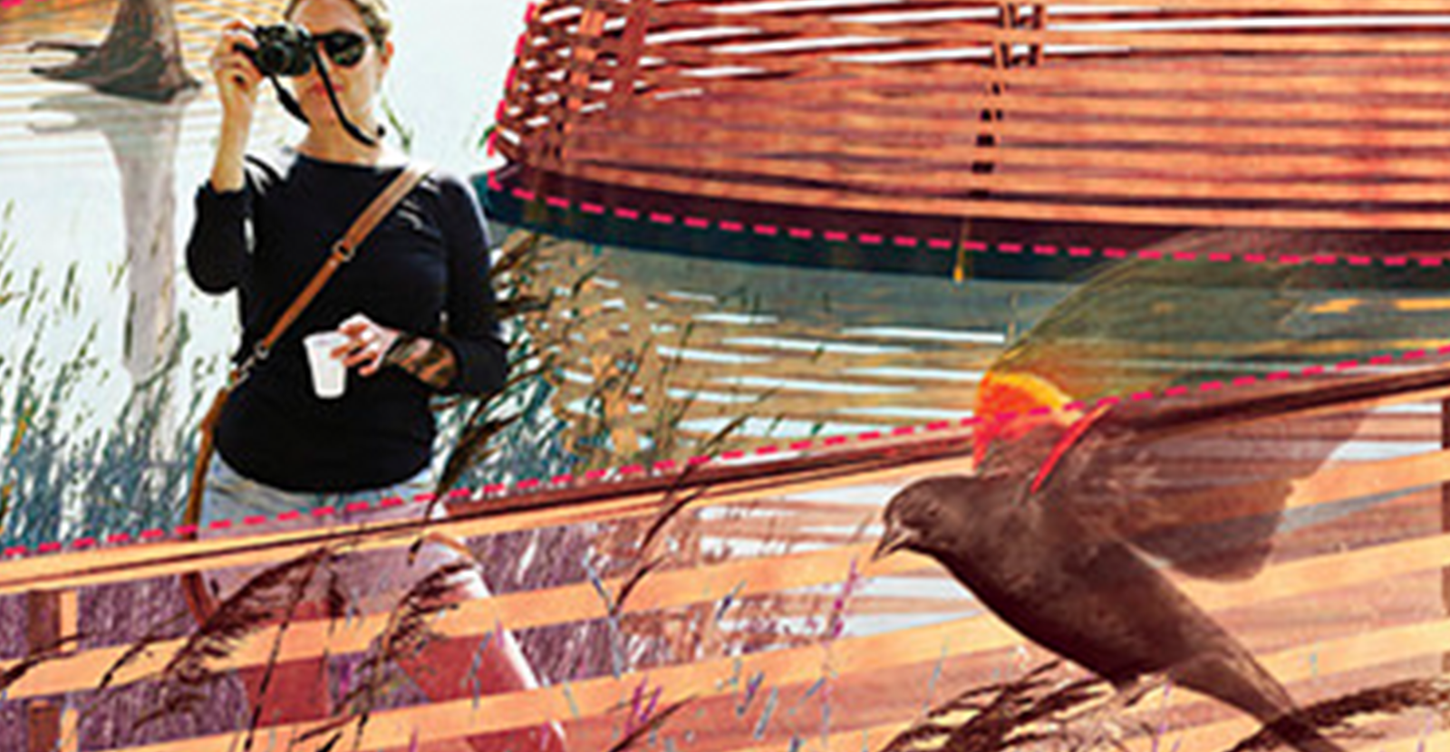 Figure 11—Look to the background to see the real speculative project in action