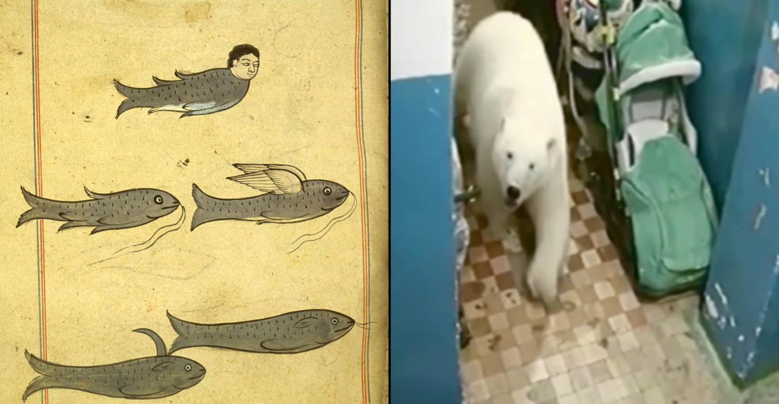 Figure 3—The Search for Signs