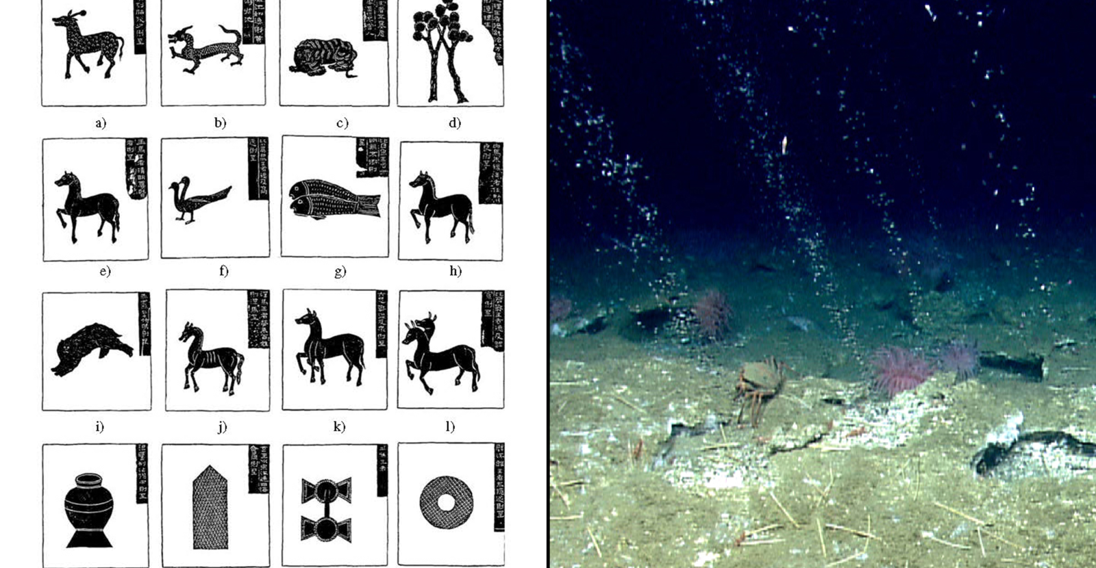 Figure 3—The Search for Signs