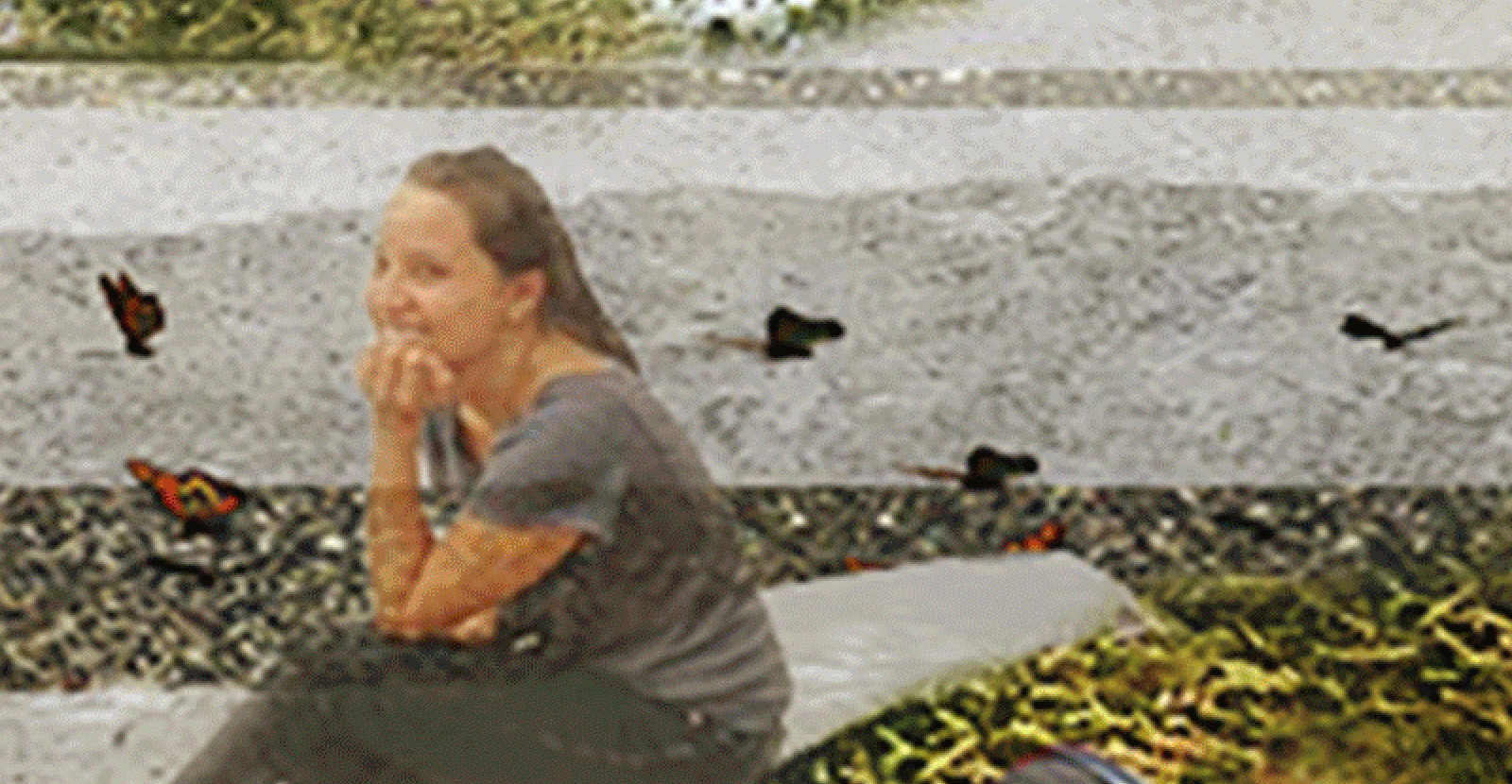 Figure 11—Look to the background to see the real speculative project in action