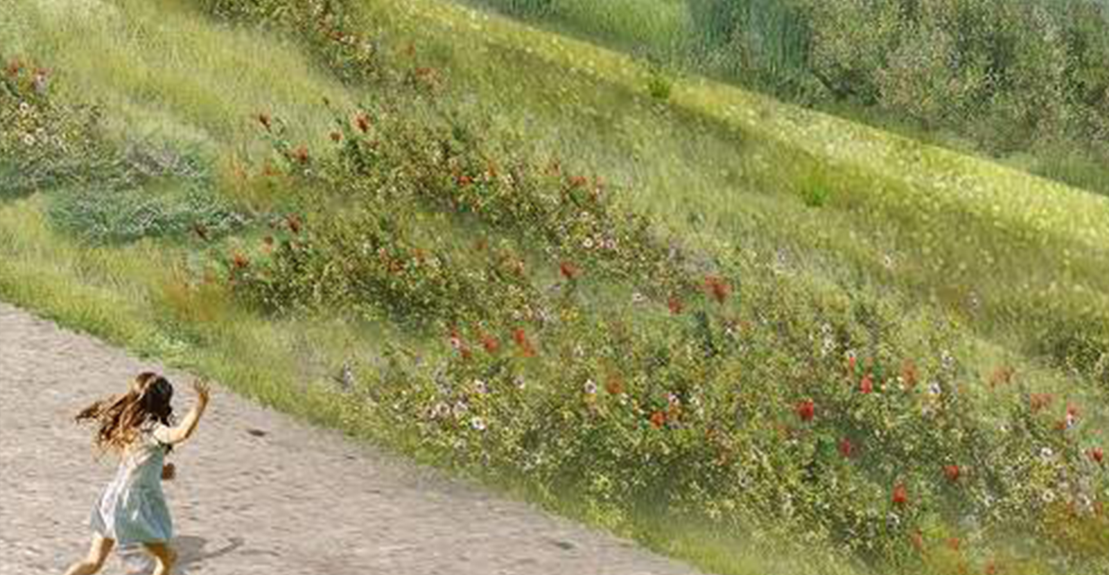 Figure 13—A society of professional mourners