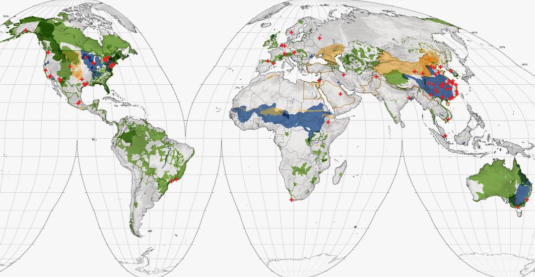 World map with large scale ecological projects